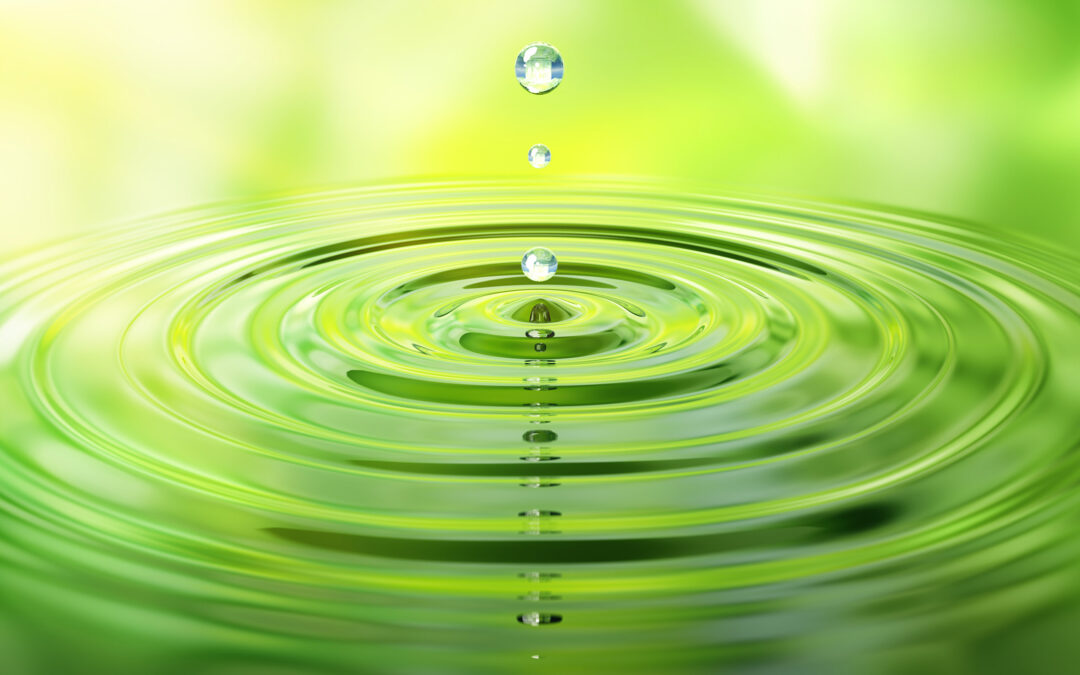 Jungunternehmertag 2024