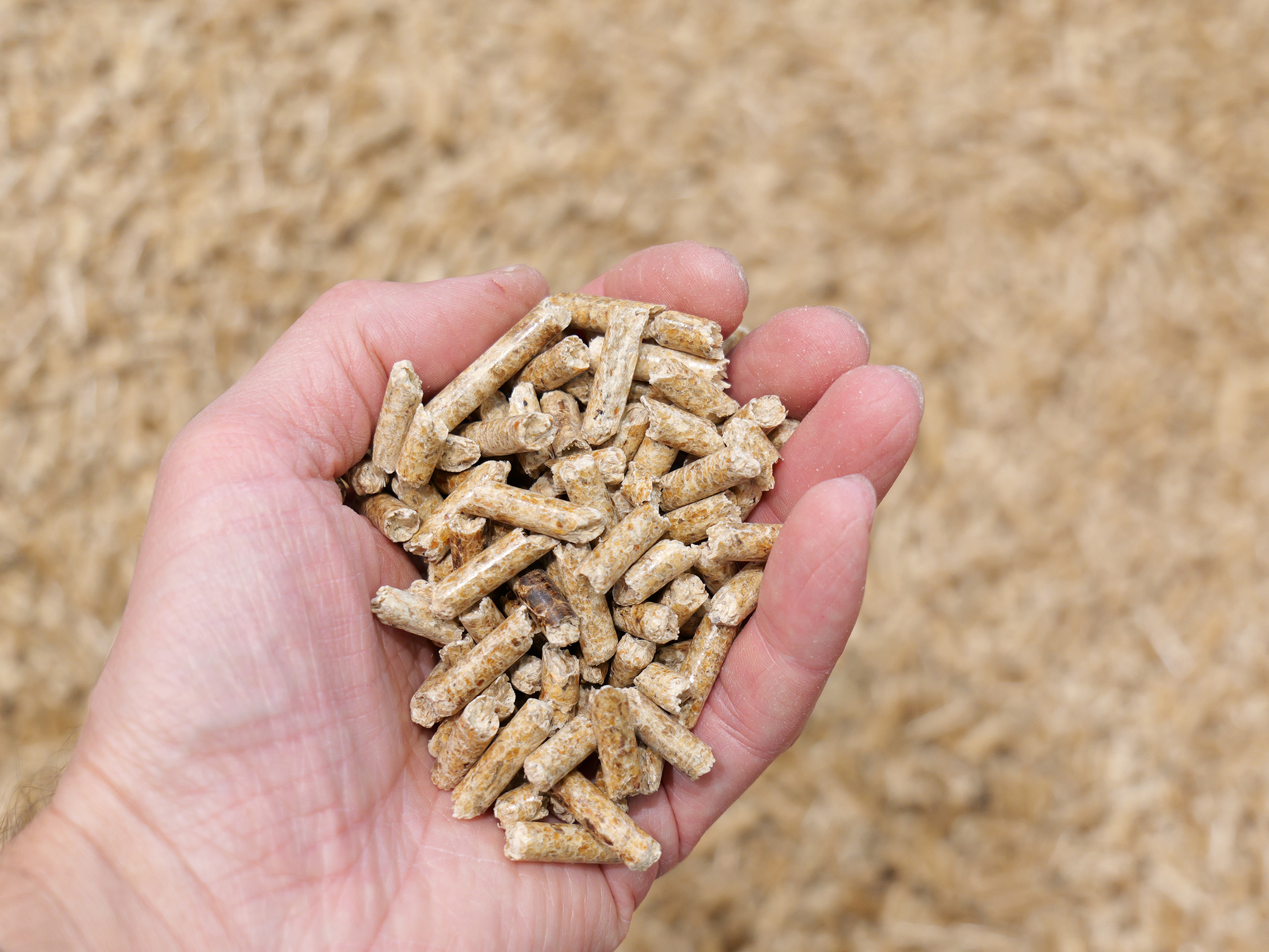Pellet-Check des DEPI – jetzt kostenfrei nutzen